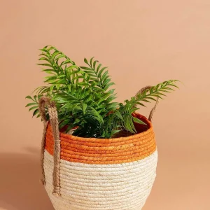 Carraig Donn HOME Basket With Handles* Elemental Coast