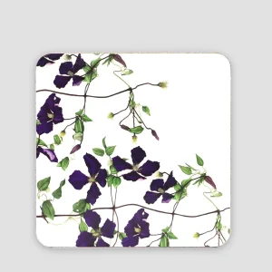 Tipperary Crystal Gift Botanical Cork Backed Coasters* Homeware