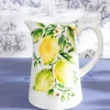Carraig Donn HOME Ceramic Lemon Jug* Homeware