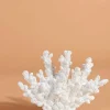 Carraig Donn HOME Coral Decor* Homeware