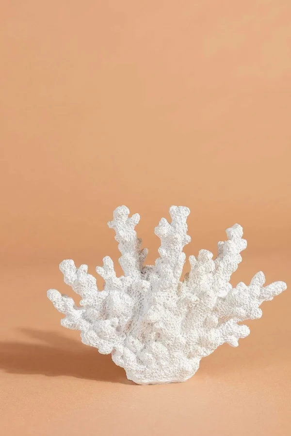 Carraig Donn HOME Coral Decor* Homeware