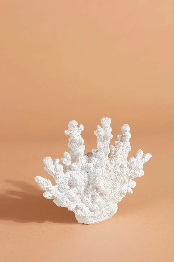 Carraig Donn HOME Coral Decor* Homeware