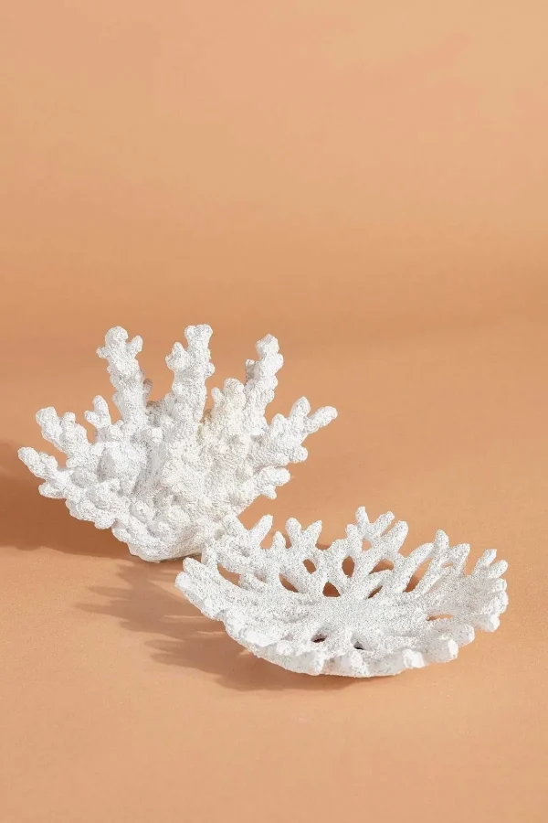 Carraig Donn HOME Coral Decor* Homeware