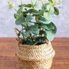 Carraig Donn HOME Eucalyptus In Basket* Homeware