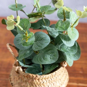 Carraig Donn HOME Eucalyptus In Basket* Homeware