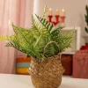 Carraig Donn HOME Faux Fern Plant In Basket* Homeware