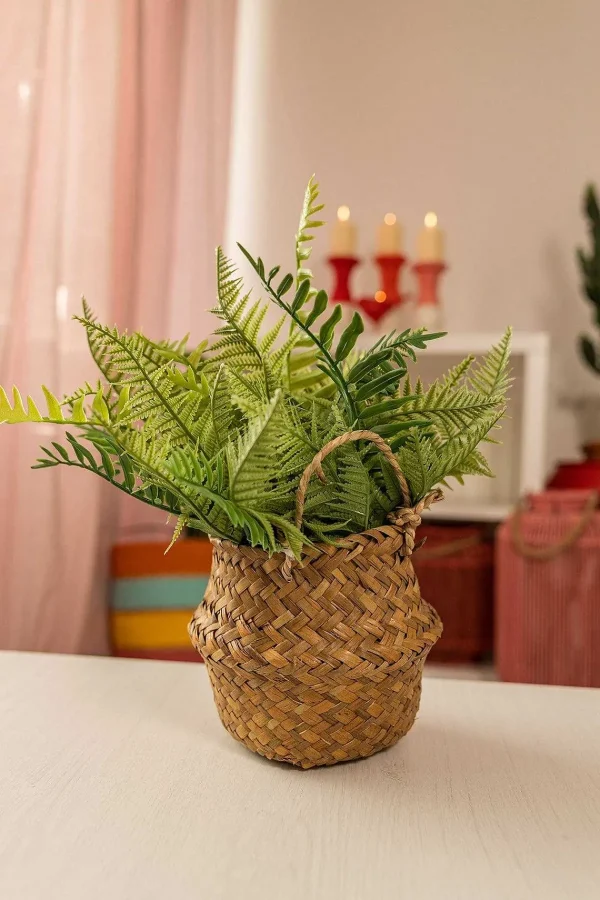 Carraig Donn HOME Faux Fern Plant In Basket* Homeware