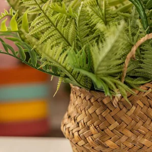 Carraig Donn HOME Faux Fern Plant In Basket* Homeware