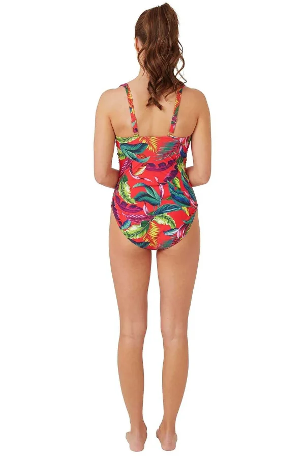 Oyster Bay Floral Swimsuit*Women Swimwear