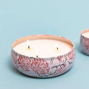 Eclectic Grapefruit & Currant Large Travel Candle* Homeware