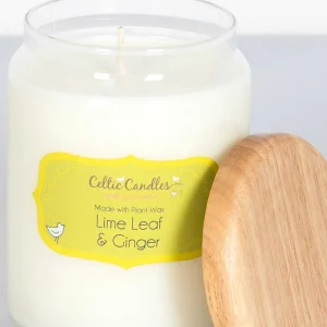 Celtic Candles Lime Leaf And Ginger Fragrance Diffuser* Homeware