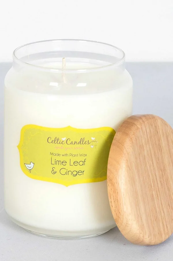 Celtic Candles Lime Leaf And Ginger Fragrance Diffuser* Homeware