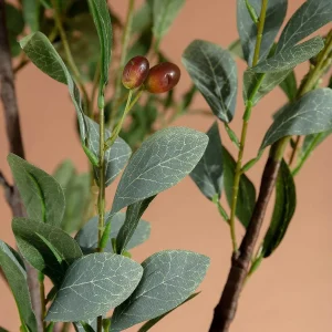 Carraig Donn HOME Olive Tree* Homeware