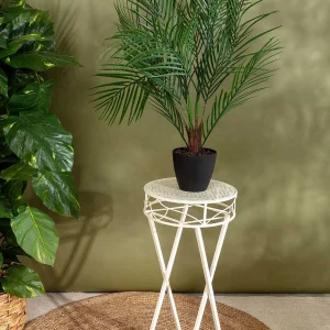 Carraig Donn HOME Plant Stand* Homeware