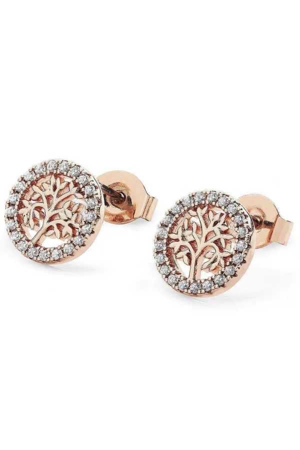 Tipperary Crystal Jewellery Rose Gold Tree And Cz Circle Stud Earrings* Boxed Gifts