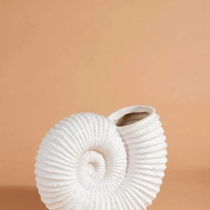 Carraig Donn HOME Seashell Vase* Homeware