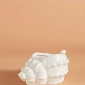 Carraig Donn HOME Shell Vessel* Homeware
