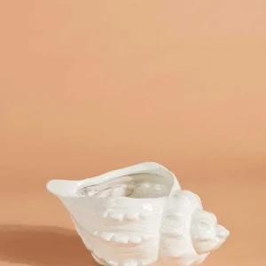 Carraig Donn HOME Shell Vessel* Homeware
