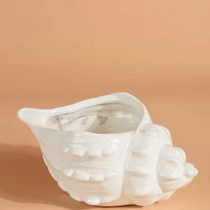 Carraig Donn HOME Shell Vessel* Homeware