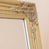 Carraig Donn HOME Silver Champagne Floor Standing Mirror* Homeware