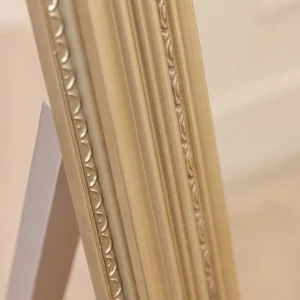 Carraig Donn HOME Silver Champagne Floor Standing Mirror* Homeware