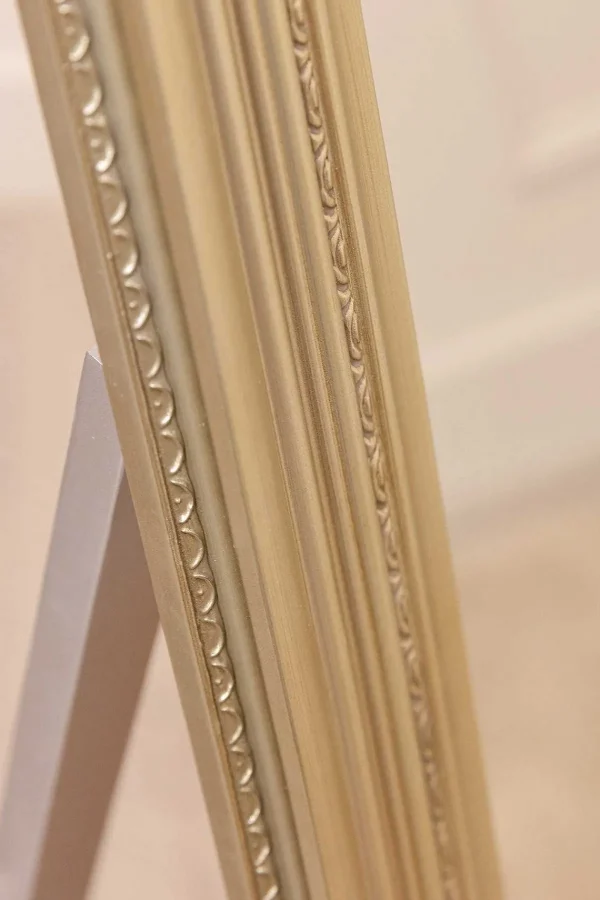 Carraig Donn HOME Silver Champagne Floor Standing Mirror* Homeware
