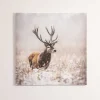 Carraig Donn HOME Stag Canvas Wall Art* Homeware