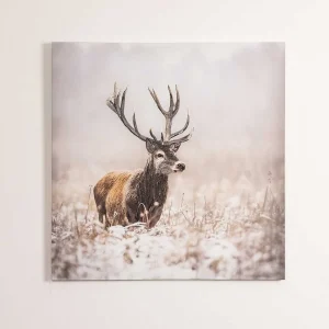 Carraig Donn HOME Stag Canvas Wall Art* Homeware