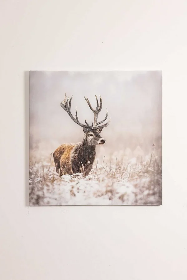 Carraig Donn HOME Stag Canvas Wall Art* Homeware
