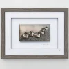 Wild Goose To Light A Path Wall Art* Homeware