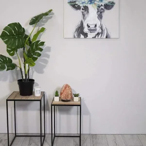 Carraig Donn HOME Wow Cow Canvas Art Wall* Homeware